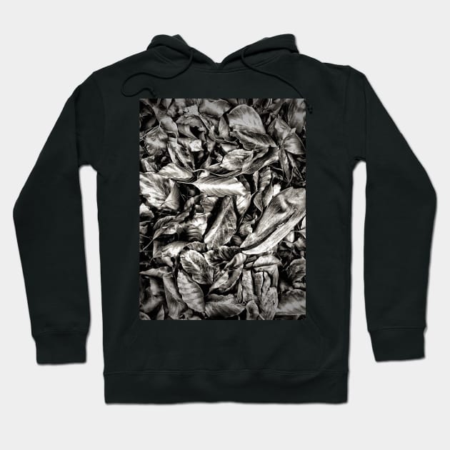 Leaves Hoodie by Dpe1974